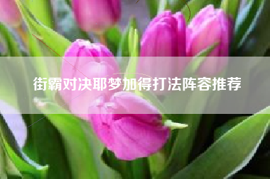 街霸对决耶梦加得打法阵容推荐