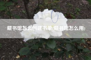 藏书馆怎么创建书单(藏书馆怎么用)