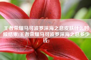 王者荣耀马可波罗深海之息皮肤什么时候结束(王者荣耀马可波罗深海之息多少钱)