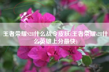 王者荣耀S28什么战令皮肤(王者荣耀s28什么英雄上分最快)