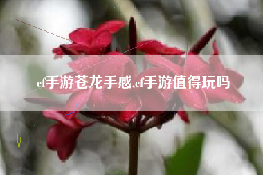 cf手游苍龙手感,cf手游值得玩吗