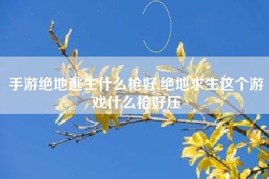 手游绝地逃生什么枪好,绝地求生这个游戏什么枪好压