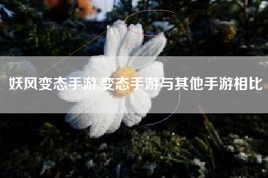 妖风变态手游,变态手游与其他手游相比