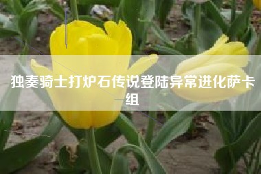 独奏骑士打炉石传说登陆异常进化萨卡组