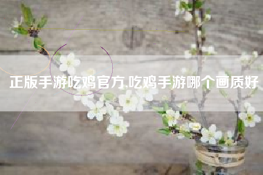 正版手游吃鸡官方,吃鸡手游哪个画质好
