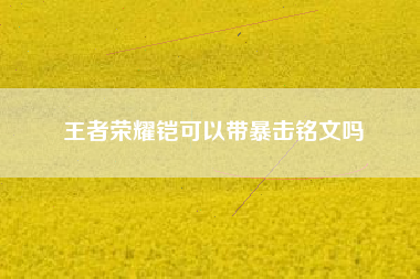 王者荣耀铠可以带暴击铭文吗