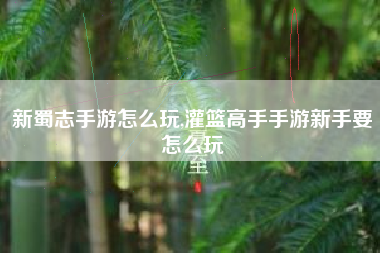 新蜀志手游怎么玩,灌篮高手手游新手要怎么玩