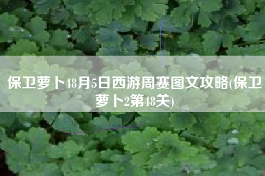 保卫萝卜48月5日西游周赛图文攻略(保卫萝卜2第48关)