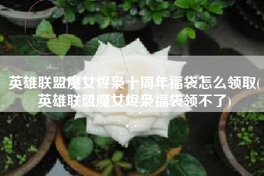 英雄联盟魔女烬枭十周年福袋怎么领取(英雄联盟魔女烬枭福袋领不了)