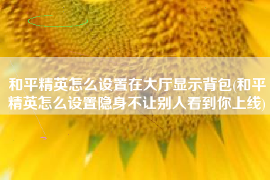 和平精英怎么设置在大厅显示背包(和平精英怎么设置隐身不让别人看到你上线)