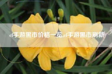 cf手游黑市价格一览,cf手游黑市刷新