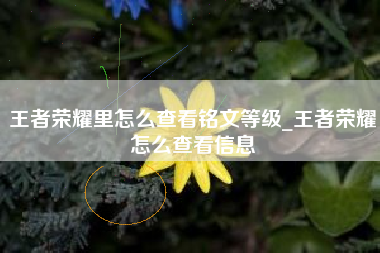 王者荣耀里怎么查看铭文等级_王者荣耀怎么查看信息