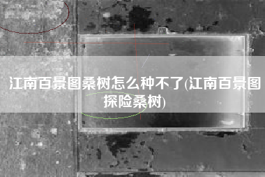 江南百景图桑树怎么种不了(江南百景图探险桑树)