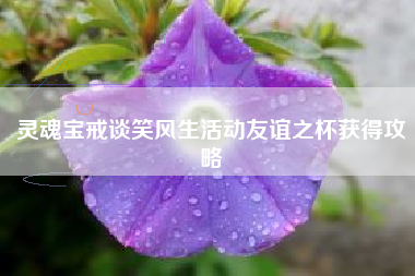 灵魂宝戒谈笑风生活动友谊之杯获得攻略