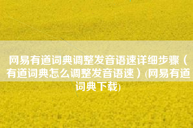 网易有道词典调整发音语速详细步骤（有道词典怎么调整发音语速）(网易有道词典下载)