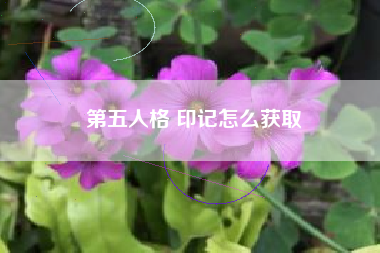 第五人格 印记怎么获取