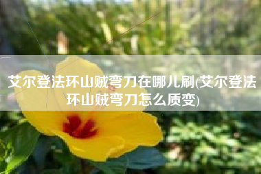 艾尔登法环山贼弯刀在哪儿刷(艾尔登法环山贼弯刀怎么质变)