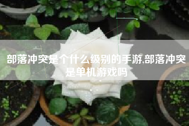 部落冲突是个什么级别的手游,部落冲突是单机游戏吗