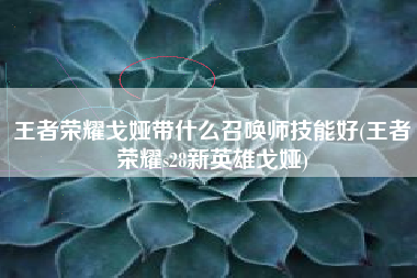 王者荣耀戈娅带什么召唤师技能好(王者荣耀s28新英雄戈娅)