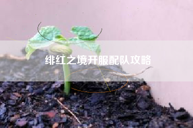绯红之境开服配队攻略