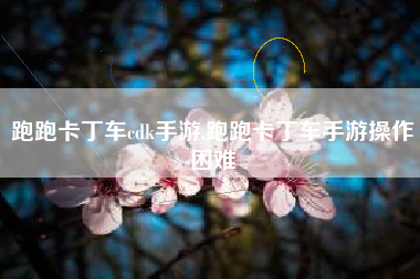 跑跑卡丁车cdk手游,跑跑卡丁车手游操作困难