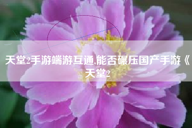 天堂2手游端游互通,能否碾压国产手游《天堂2