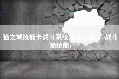 猫之城技能卡战斗系统玩法攻略(rise战斗猫技能)