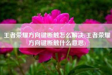 王者荣耀方向键断触怎么解决(王者荣耀方向键断触什么意思)