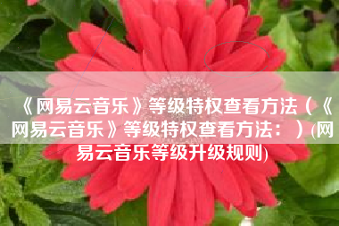 《网易云音乐》等级特权查看方法（《网易云音乐》等级特权查看方法：）(网易云音乐等级升级规则)