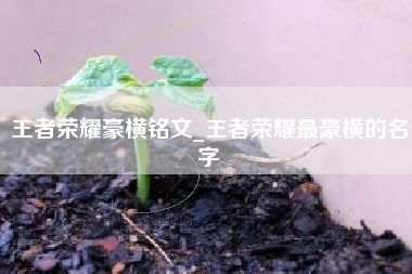 王者荣耀豪横铭文_王者荣耀最豪横的名字