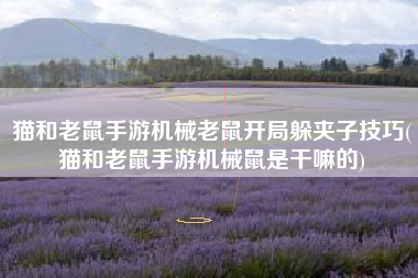 猫和老鼠手游机械老鼠开局躲夹子技巧(猫和老鼠手游机械鼠是干嘛的)