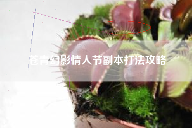 苍青幻影情人节副本打法攻略
