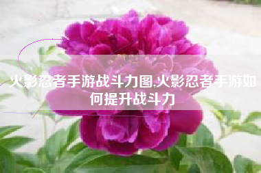 火影忍者手游战斗力图,火影忍者手游如何提升战斗力