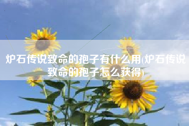 炉石传说致命的孢子有什么用(炉石传说致命的孢子怎么获得)