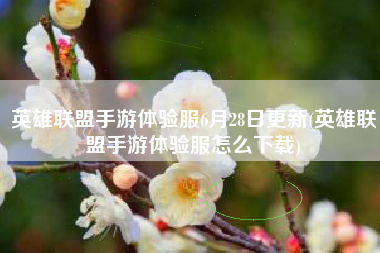 英雄联盟手游体验服6月28日更新(英雄联盟手游体验服怎么下载)