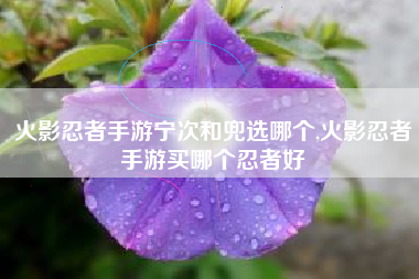 火影忍者手游宁次和兜选哪个,火影忍者手游买哪个忍者好