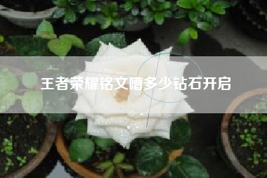 王者荣耀铭文嘈多少钻石开启