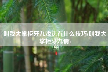 叫我大掌柜牙九戏法有什么技巧(叫我大掌柜牙九猜)