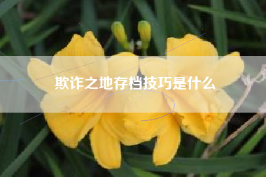 欺诈之地存档技巧是什么