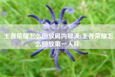 王者荣耀怎么回放局内聊天(王者荣耀怎么回放第一人称)