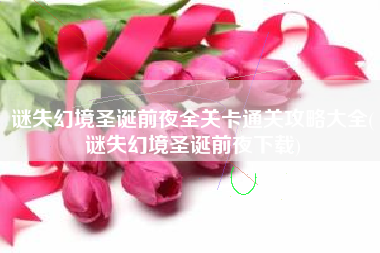 谜失幻境圣诞前夜全关卡通关攻略大全(谜失幻境圣诞前夜下载)