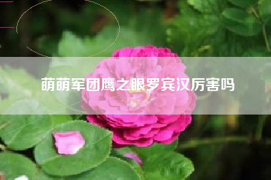 萌萌军团鹰之眼罗宾汉厉害吗