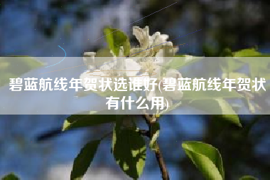 碧蓝航线年贺状选谁好(碧蓝航线年贺状有什么用)