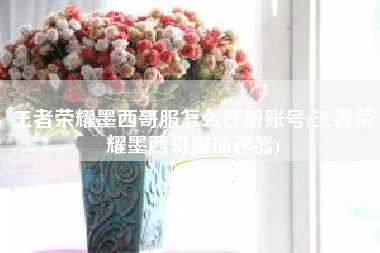 王者荣耀墨西哥服怎么注册账号(王者荣耀墨西哥服加速器)