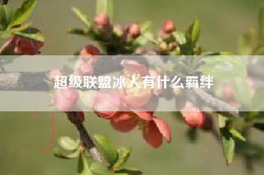 超级联盟冰人有什么羁绊