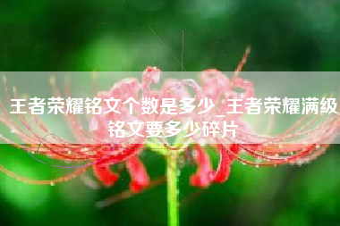 王者荣耀铭文个数是多少_王者荣耀满级铭文要多少碎片