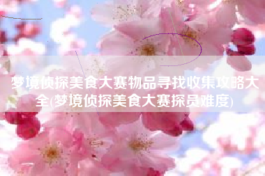 梦境侦探美食大赛物品寻找收集攻略大全(梦境侦探美食大赛探员难度)