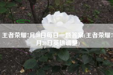 王者荣耀7月30日每日一题答案(王者荣耀7月30日英雄调整)