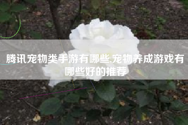 腾讯宠物类手游有哪些,宠物养成游戏有哪些好的推荐