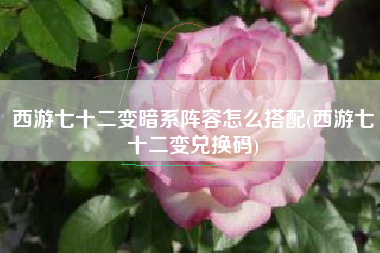 西游七十二变暗系阵容怎么搭配(西游七十二变兑换码)
